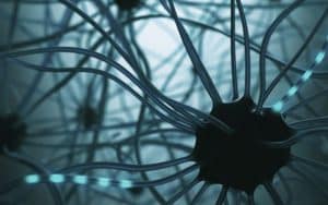 Dopamine Addiction: How Addicts Are at the Whim of Pleasure Chemicals