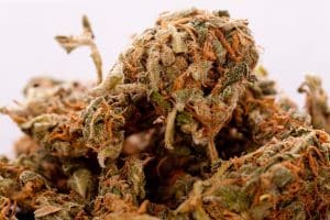 ISS 12909 00118 1 - Marijuana Addiction: Key Signs & How to Begin Recovery