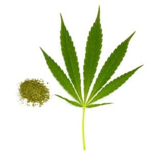 ISS 6036 00801 1 - Marijuana Addiction: Key Signs & How to Begin Recovery