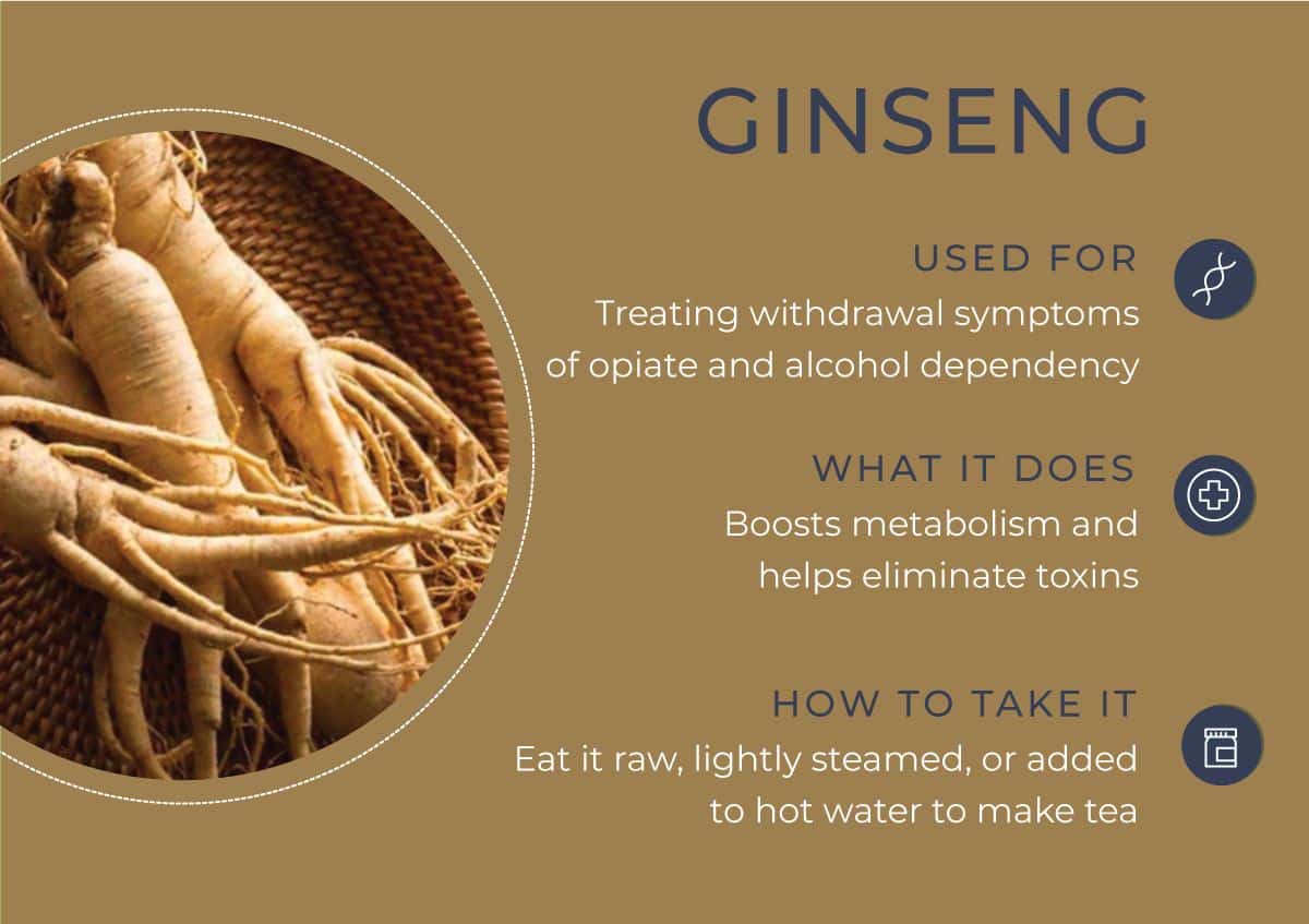 8 Herbs to Curb Your Cravings - Ginseng