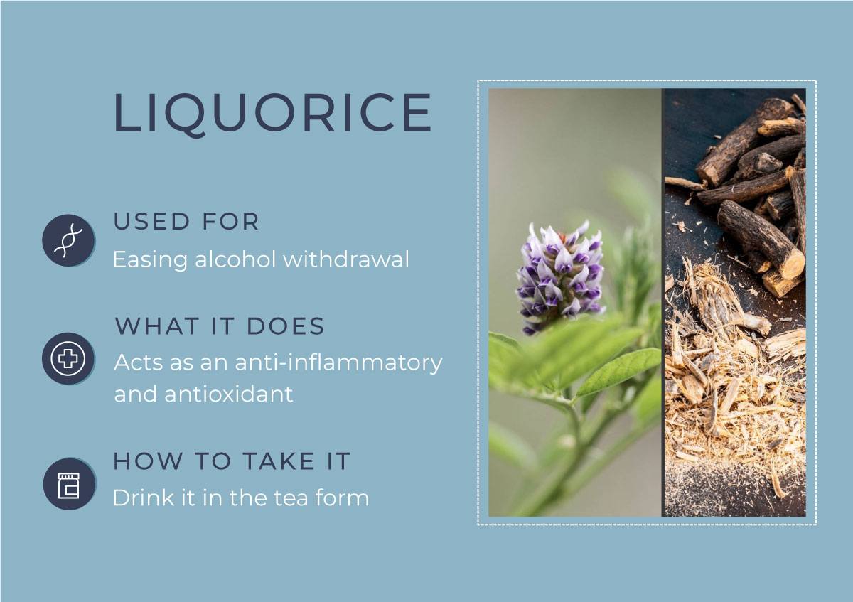 8 Herbs to Curb Your Cravings - Liquorice