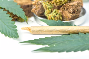 Dried marijuana in a jar with green marijuana leaves and rolls on a white background.